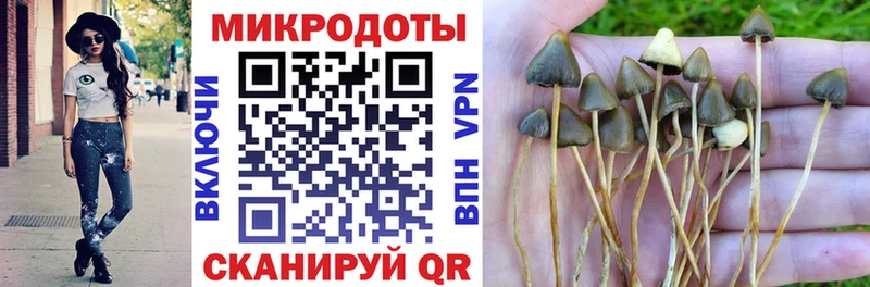 Псилоцибиновые грибы мицелий где можно купить Кораблино